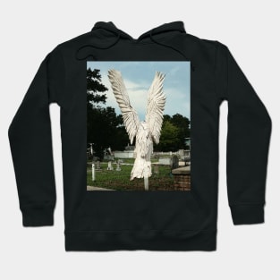 Angel Good Bye Hoodie